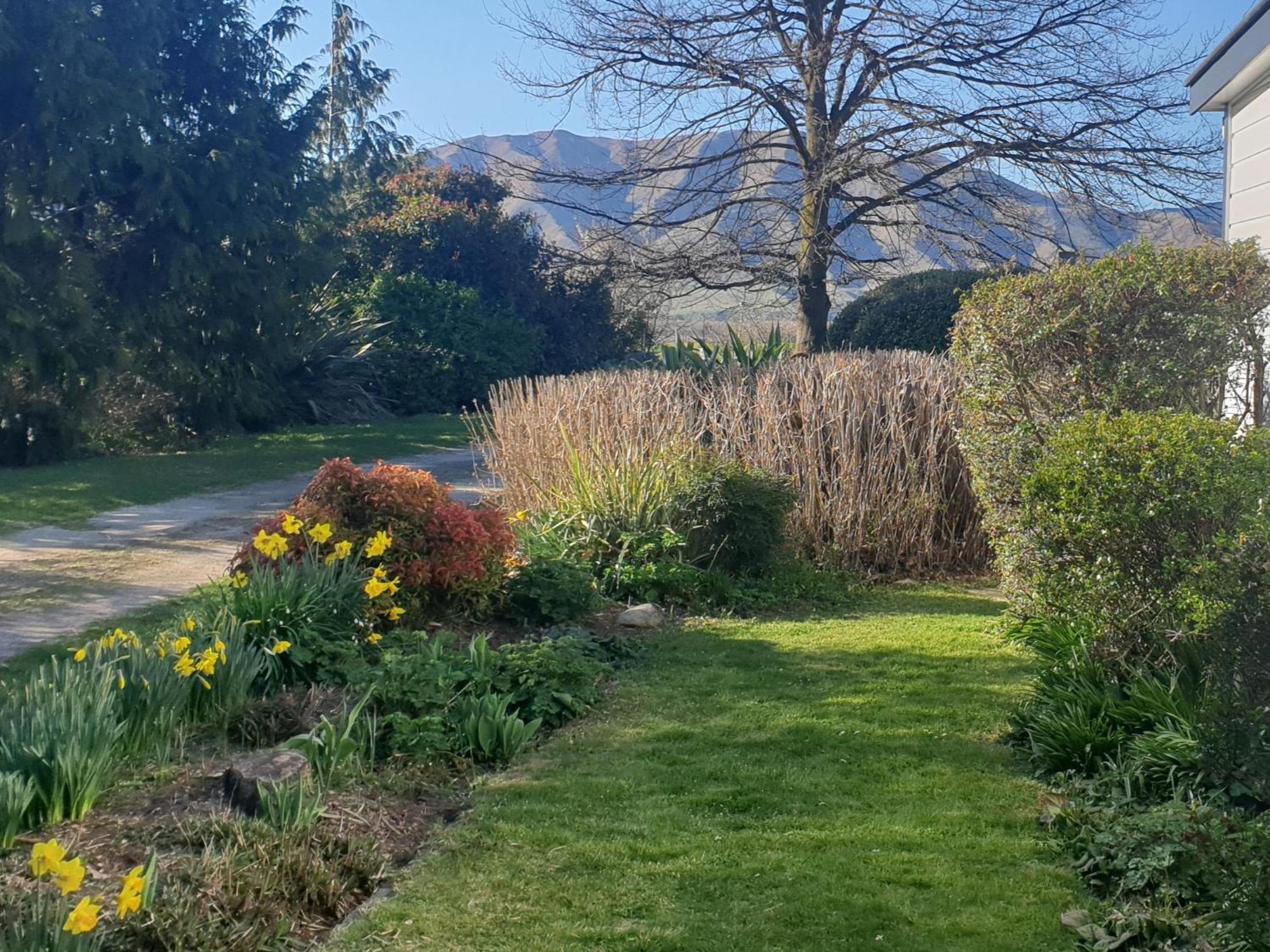 Windhaven Bed & Breakfast Duntroon Exterior photo